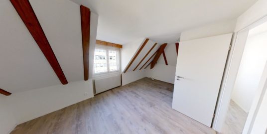 Sanierte Altbau-Dachgeschoss-Duplex Wohnung am Boulevard: 500m nach Konstanz, 700m zum Bahnhof