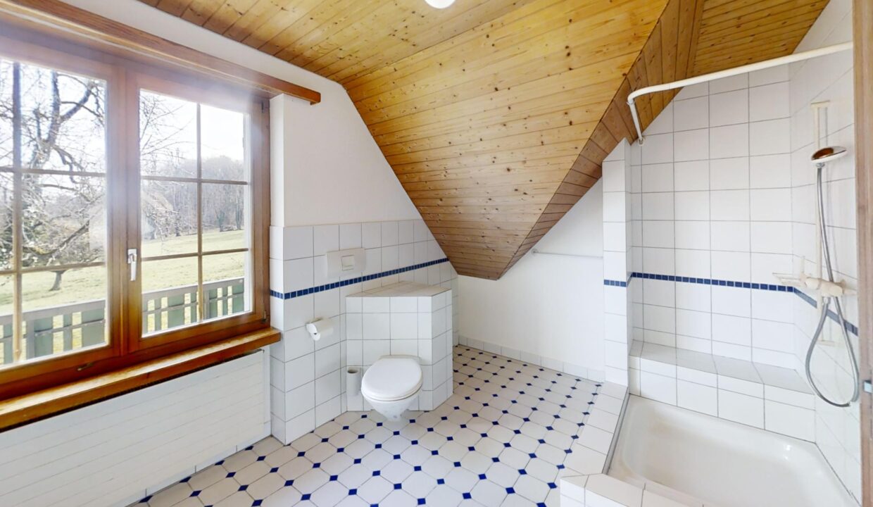 Landhaus-Tagerwilen-Bathroom 1